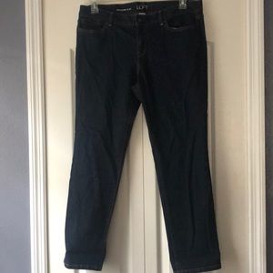 LOFT Jeans - 12P